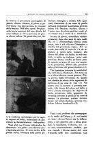 giornale/TO00191959/1945-1946/unico/00000117