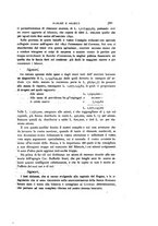 giornale/TO00192216/1893/v.1/00000307