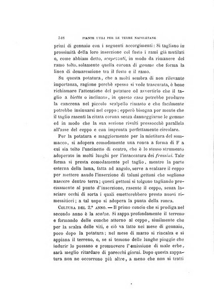 La rassegna agraria, industriale, commerciale, letteraria, politica, artistica