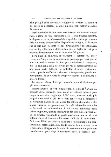 La rassegna agraria, industriale, commerciale, letteraria, politica, artistica