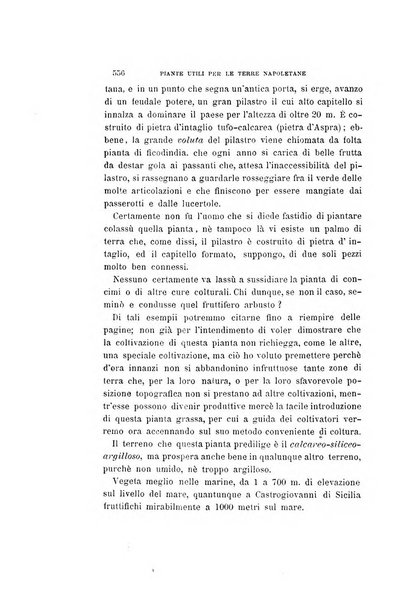 La rassegna agraria, industriale, commerciale, letteraria, politica, artistica