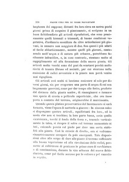 La rassegna agraria, industriale, commerciale, letteraria, politica, artistica