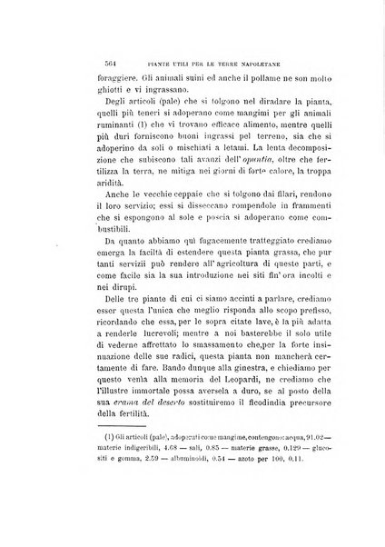 La rassegna agraria, industriale, commerciale, letteraria, politica, artistica