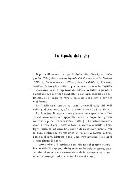 La rassegna agraria, industriale, commerciale, letteraria, politica, artistica