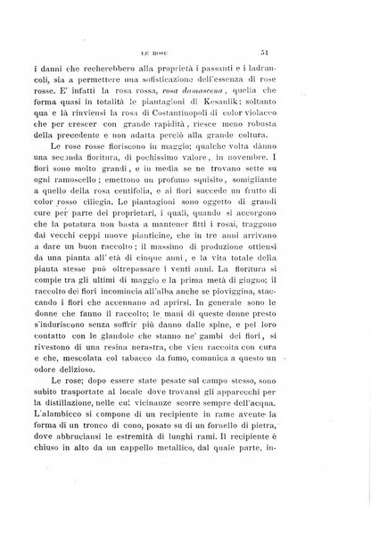 La rassegna agraria, industriale, commerciale, letteraria, politica, artistica