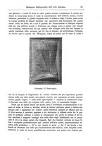 giornale/TO00192218/1899/unico/00000035