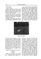 giornale/TO00192225/1931/unico/00000036