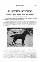 giornale/TO00192225/1931/unico/00000205