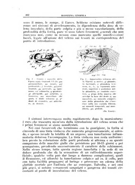 Rassegna cinofila organo ufficiale dell'Ente nazionale della cinofilia italiana