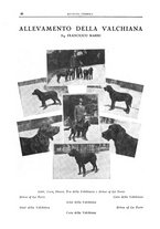 giornale/TO00192225/1932/unico/00000010