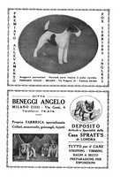 giornale/TO00192225/1932/unico/00000055