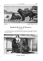 giornale/TO00192225/1932/unico/00000597