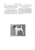 giornale/TO00192225/1933/unico/00000066