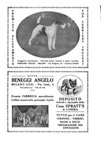 giornale/TO00192225/1933/unico/00000071