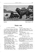 giornale/TO00192225/1933/unico/00000247