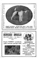 giornale/TO00192225/1933/unico/00000251