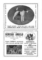 giornale/TO00192225/1933/unico/00000333