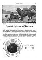 giornale/TO00192225/1933/unico/00000387