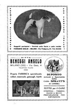 giornale/TO00192225/1933/unico/00000389