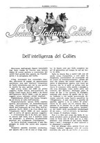 giornale/TO00192225/1934/unico/00000065