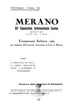 giornale/TO00192225/1934/unico/00000082