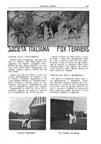 giornale/TO00192225/1934/unico/00000739