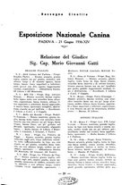 giornale/TO00192225/1938/unico/00000027
