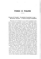 giornale/TO00192234/1913/v.1/00000502