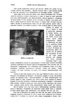 giornale/TO00192234/1914/v.1/00001042