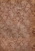 giornale/TO00192242/1920/v.7/00000003