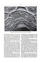 giornale/TO00192242/1920/v.7/00000021