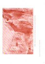 giornale/TO00192242/1920/v.7/00000023