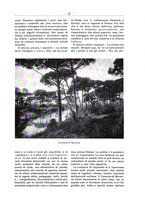 giornale/TO00192242/1920/v.7/00000033