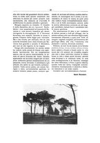 giornale/TO00192242/1920/v.7/00000036
