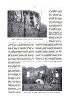 giornale/TO00192242/1920/v.7/00000071