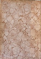 giornale/TO00192282/1920/V.7.2/00000002