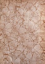 giornale/TO00192282/1920/V.7.2/00000003