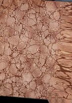 giornale/TO00192282/1921/V.8.2/00000003