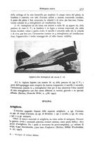 giornale/TO00192302/1941/unico/00000395