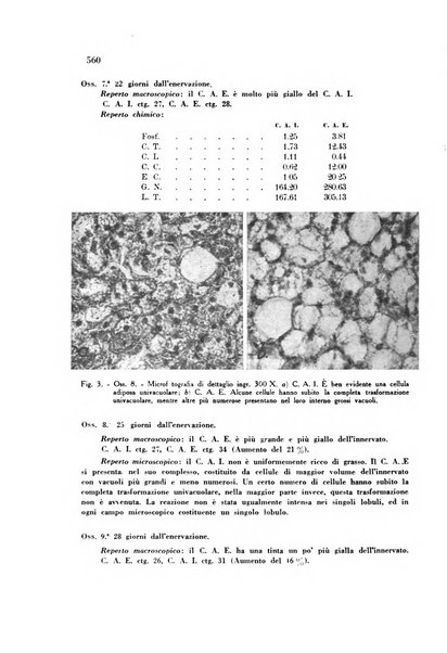 Rassegna di fisiopatologia clinica e terapeutica