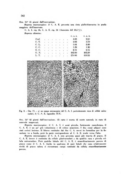 Rassegna di fisiopatologia clinica e terapeutica