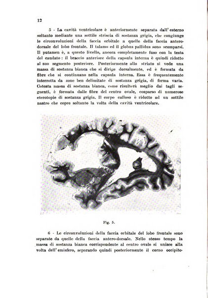 Rassegna di fisiopatologia clinica e terapeutica