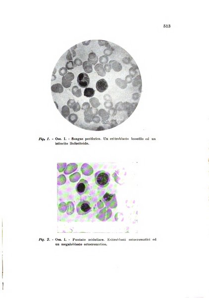 Rassegna di fisiopatologia clinica e terapeutica