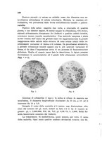 giornale/TO00192313/1941/unico/00000162