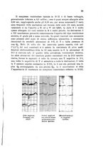 giornale/TO00192313/1943/unico/00000031