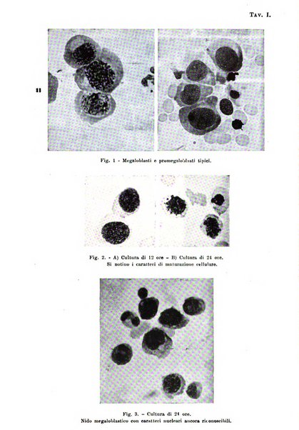 Rassegna di fisiopatologia clinica e terapeutica