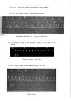 giornale/TO00192342/1930/unico/00000461