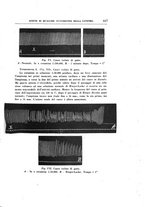 giornale/TO00192342/1931/unico/00000361