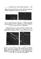 giornale/TO00192342/1934/unico/00000569