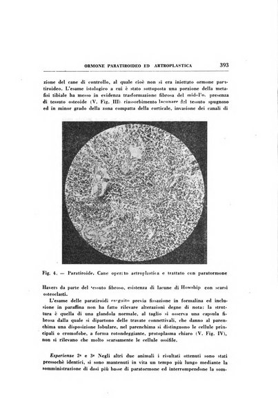 Rassegna di terapia e patologia clinica